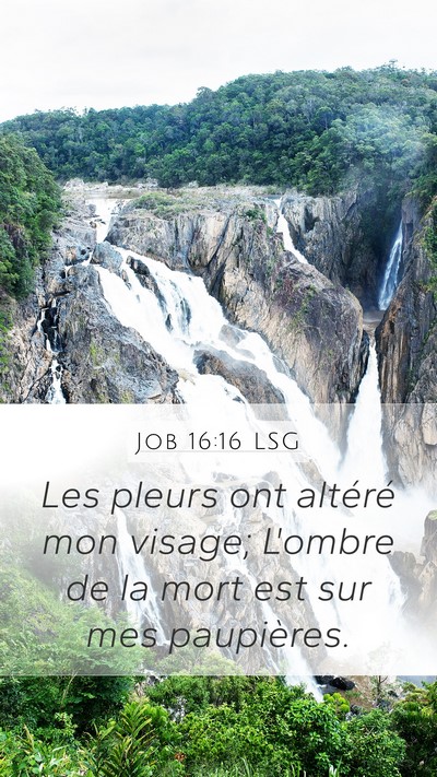 Job 16:16 LSG Bible Verse Image