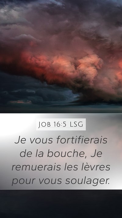 Job 16:5 LSG Bible Verse Image
