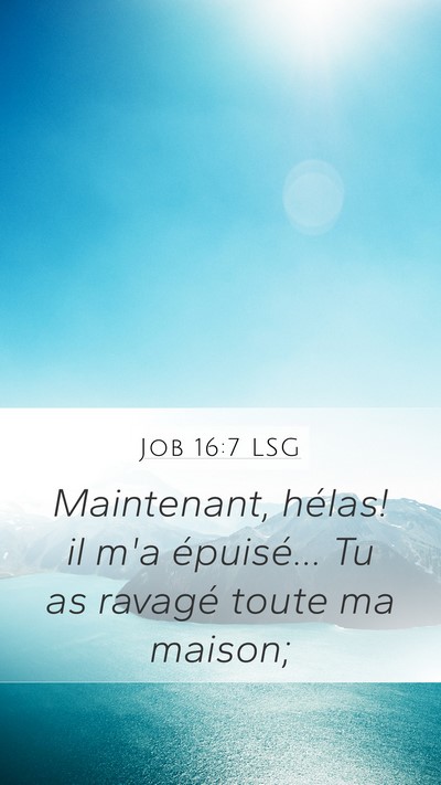 Job 16:7 LSG Bible Verse Image