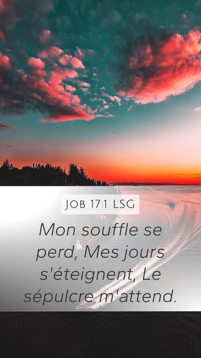 Job 17:1 LSG Bible Verse Image