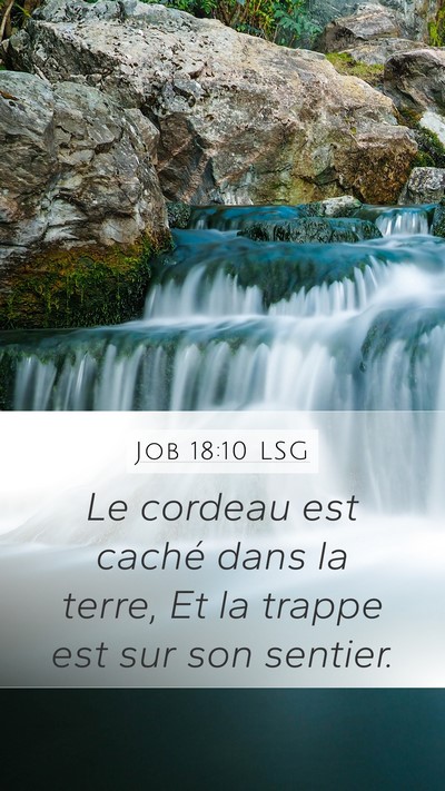 Job 18:10 LSG Mobile Phone Wallpaper - Le cordeau est caché dans la terre, Et la trappe - Mobile Bible Verse Wallpaper