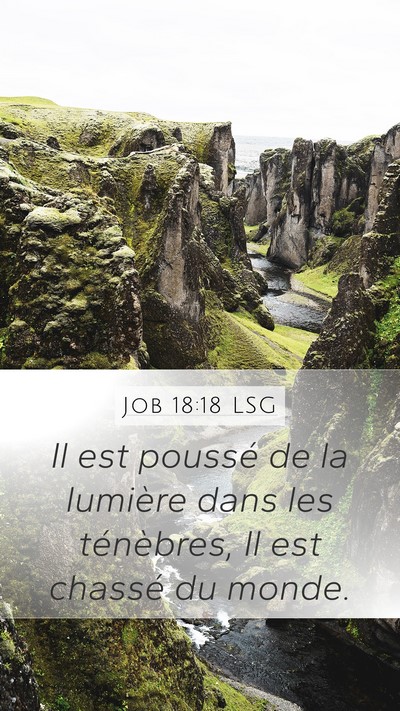 Job 18:18 LSG Bible Verse Image