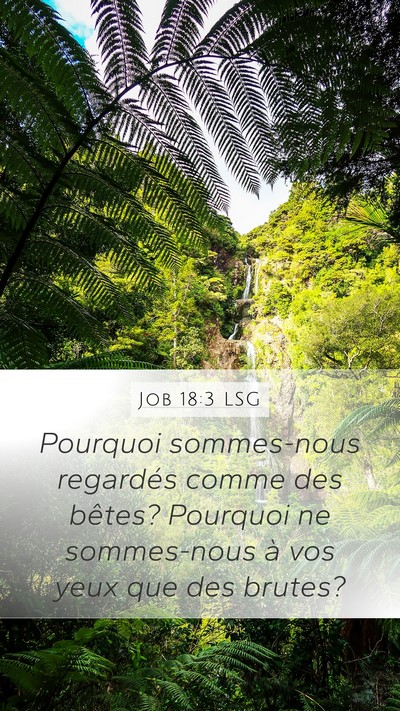 Job 18:3 LSG Bible Verse Image
