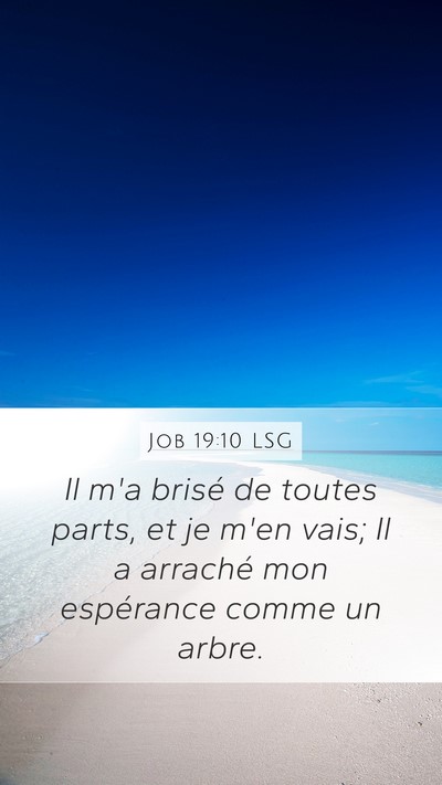 Job 19:10 LSG Bible Verse Image