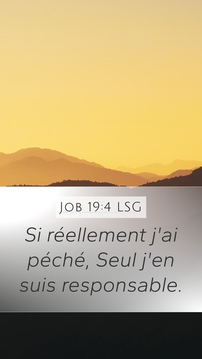 Job 19:4 LSG Mobile Phone Wallpaper - Si réellement j'ai péché, Seul j'en suis - Mobile Bible Verse Wallpaper