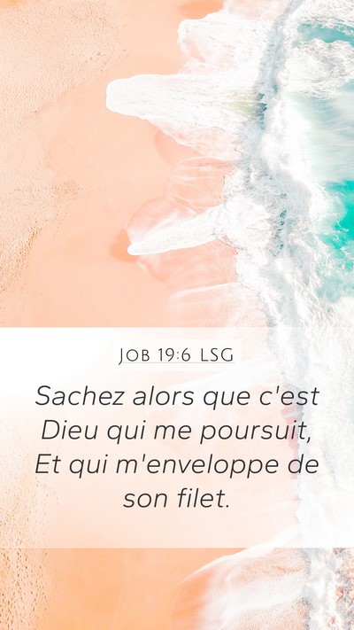 Job 19:6 LSG Bible Verse Image