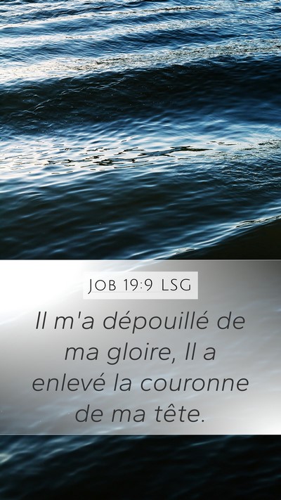 Job 19:9 LSG Bible Verse Image