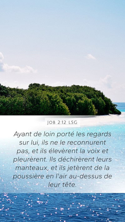 Job 2:12 LSG Bible Verse Image