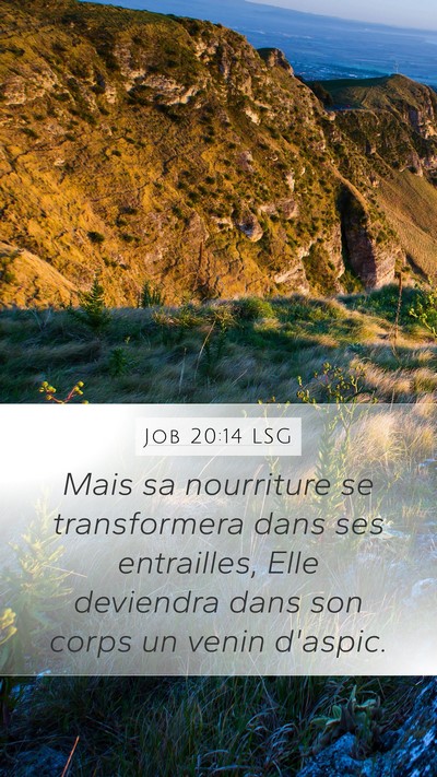 Job 20:14 LSG Bible Verse Image