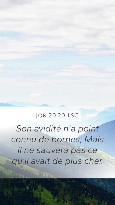 Job 20:20 LSG Bible Verse Image