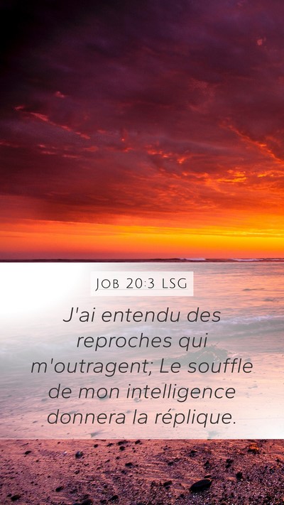 Job 20:3 LSG Bible Verse Image