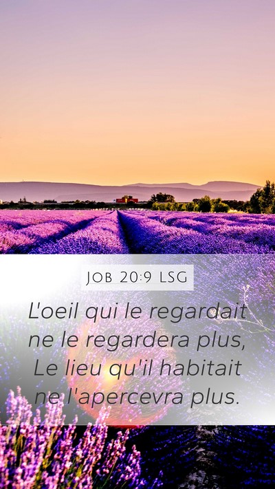 Job 20:9 LSG Bible Verse Image