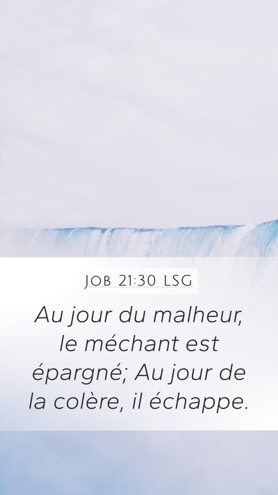 Job 21:30 LSG Bible Verse Image