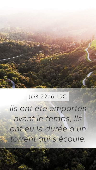 Job 22:16 LSG Bible Verse Image