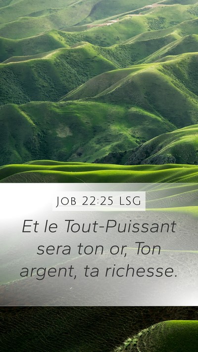Job 22:25 LSG Bible Verse Image