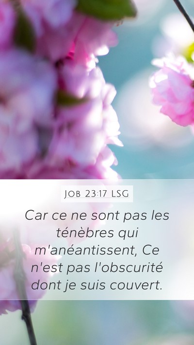Job 23:17 LSG Mobile Phone Wallpaper - Car ce ne sont pas les ténèbres qui - Mobile Bible Verse Wallpaper