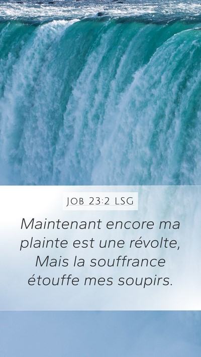 Job 23:2 LSG Bible Verse Image