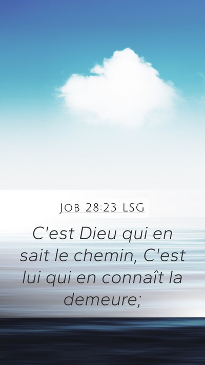 Job 28:23 LSG Bible Verse Image