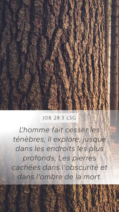 Job 28:3 LSG Bible Verse Image