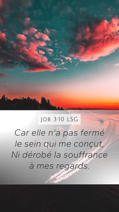 Job 3:10 LSG Bible Verse Image