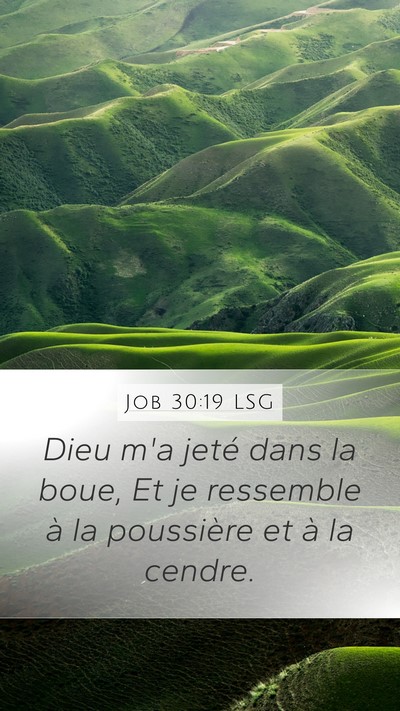 Job 30:19 LSG Bible Verse Image