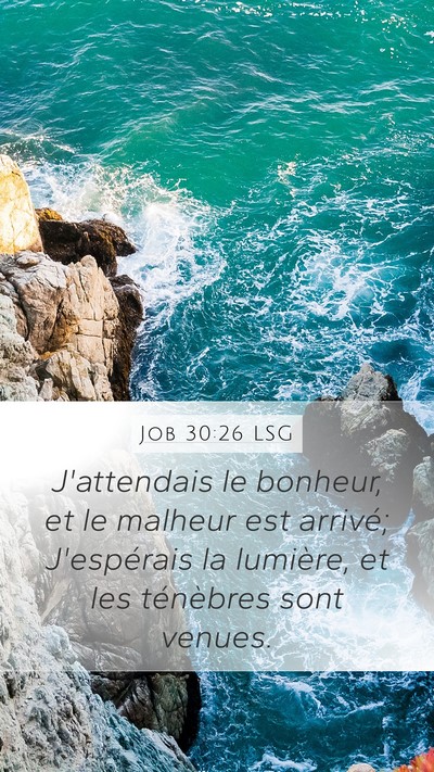 Job 30:26 LSG Bible Verse Image