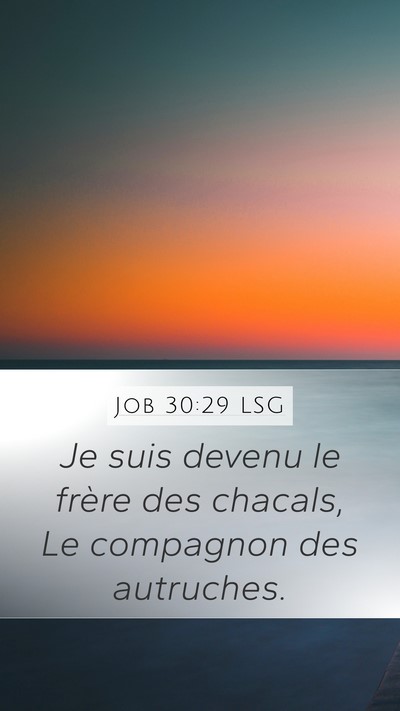 Job 30:29 LSG Bible Verse Image