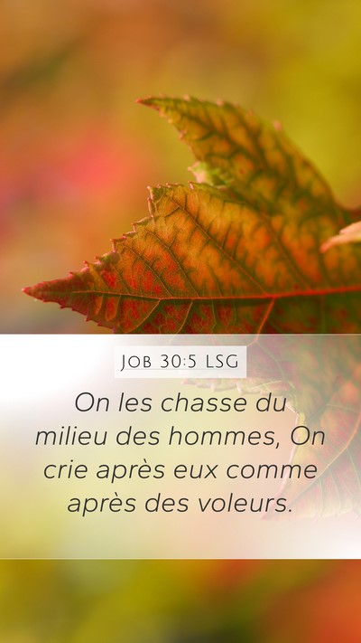 Job 30:5 LSG Bible Verse Image