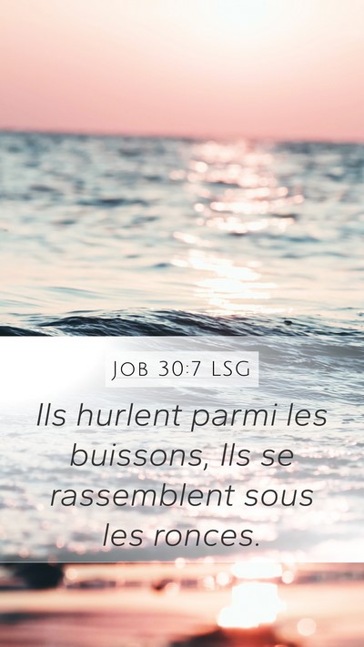 Job 30:7 LSG Bible Verse Image