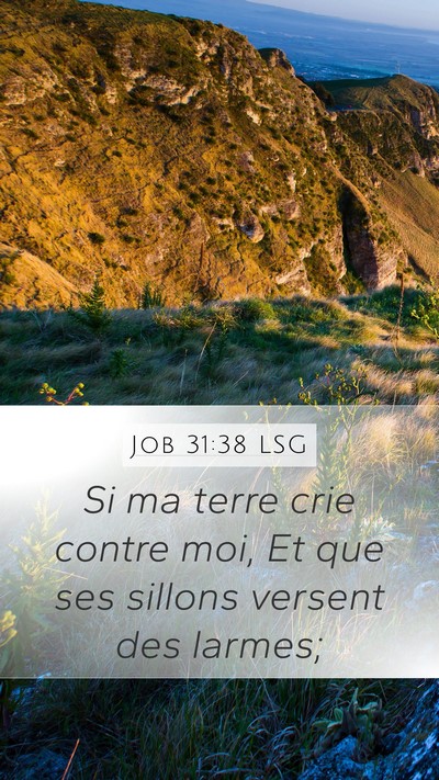 Job 31:38 LSG Mobile Phone Wallpaper - Si ma terre crie contre moi, Et que ses sillons - Mobile Bible Verse Wallpaper