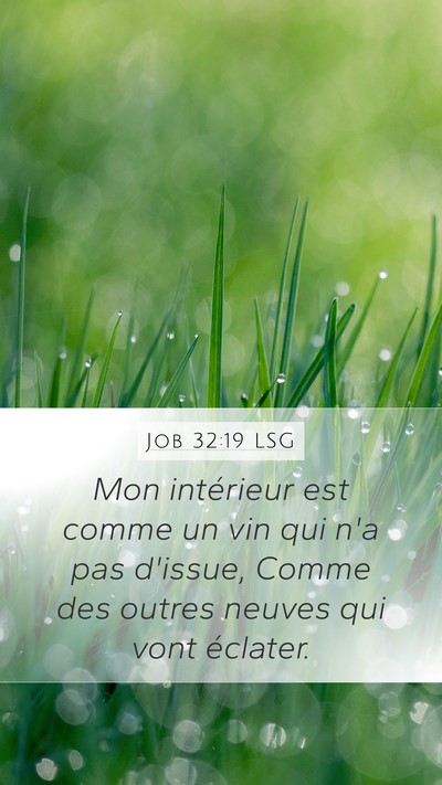 Job 32:19 LSG Bible Verse Image