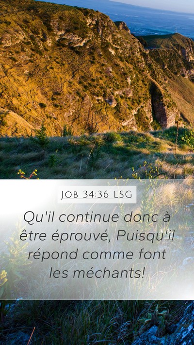 Job 34:36 LSG Bible Verse Image