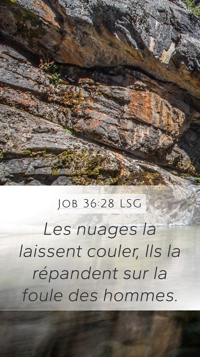 Job 36:28 LSG Mobile Phone Wallpaper - Les nuages la laissent couler, Ils la répandent - Mobile Bible Verse Wallpaper