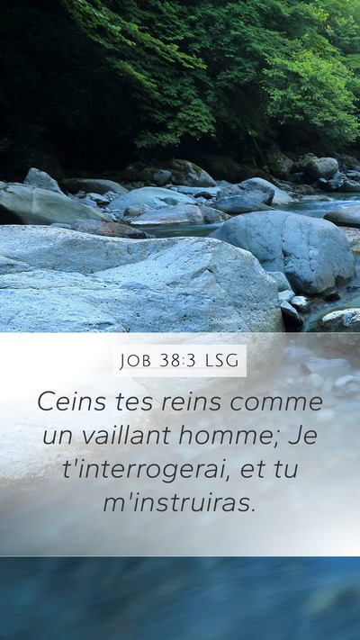 Job 38:3 LSG Bible Verse Image