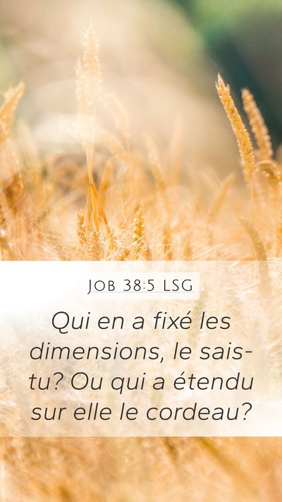 Job 38:5 LSG Bible Verse Image