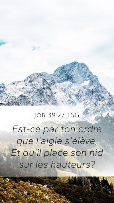 Job 39:27 LSG Bible Verse Image