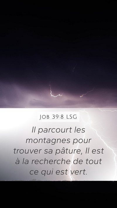 Job 39:8 LSG Bible Verse Image
