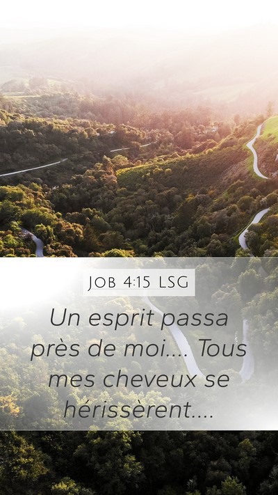 Job 4:15 LSG Mobile Phone Wallpaper - Un esprit passa près de moi.... Tous mes cheveux - Mobile Bible Verse Wallpaper