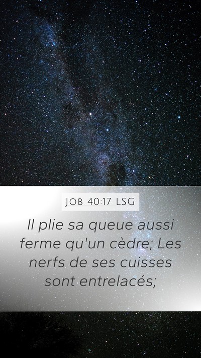 Job 40:17 LSG Bible Verse Image