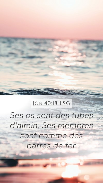 Job 40:18 LSG Bible Verse Image