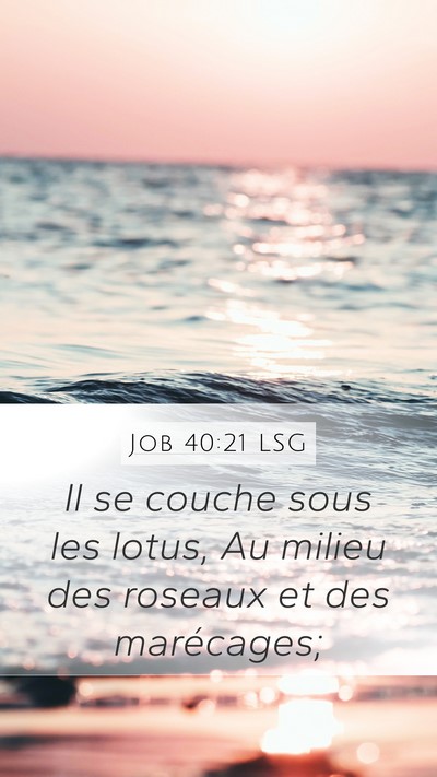 Job 40:21 LSG Bible Verse Image