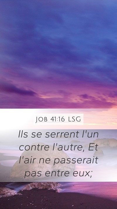 Job 41:16 LSG Mobile Phone Wallpaper - Ils se serrent l'un contre l'autre, Et l'air ne - Mobile Bible Verse Wallpaper