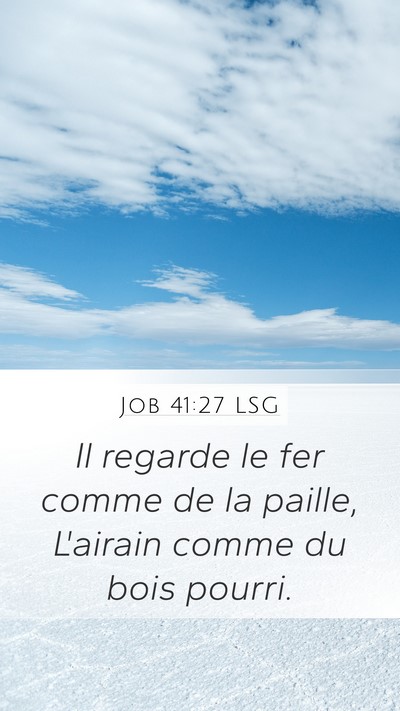 Job 41:27 LSG Mobile Phone Wallpaper - Il regarde le fer comme de la paille, L'airain - Mobile Bible Verse Wallpaper