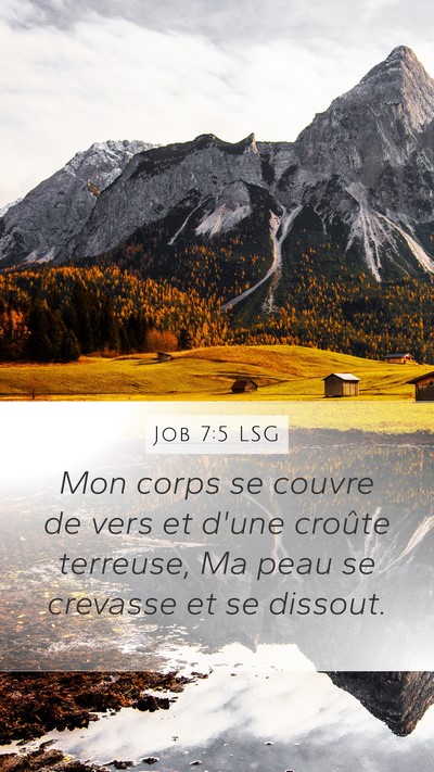 Job 7:5 LSG Bible Verse Image