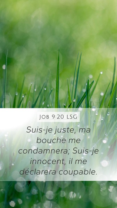 Job 9:20 LSG Bible Verse Image