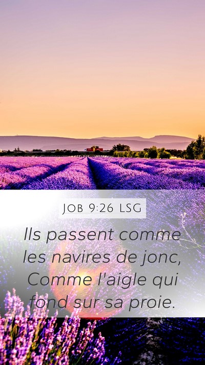 Job 9:26 LSG Bible Verse Image