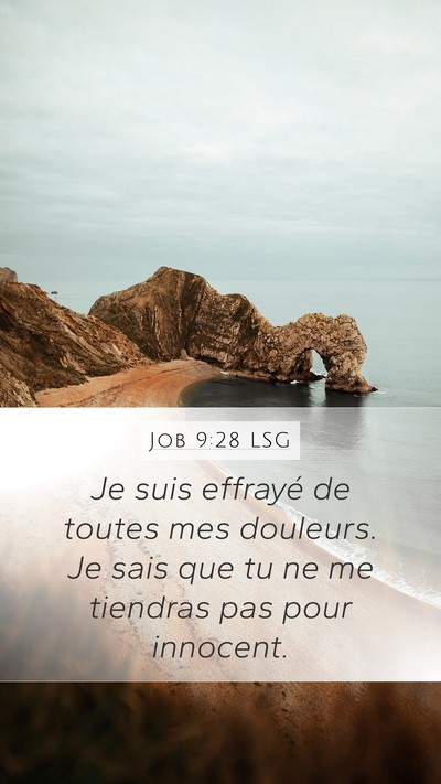 Job 9:28 LSG Bible Verse Image