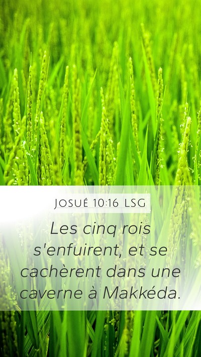 Josué 10:16 LSG Bible Verse Image