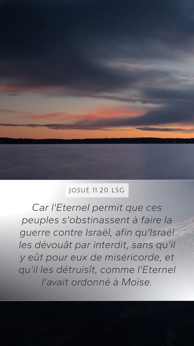 Josué 11:20 LSG Bible Verse Image