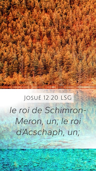 Josué 12:20 LSG Bible Verse Image
